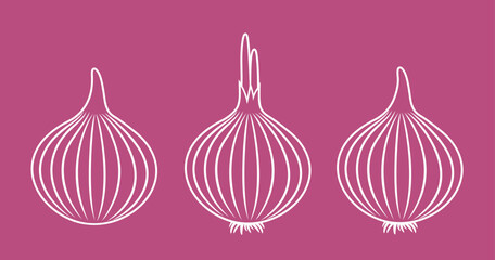 Onion outline. Isolated onion on white background