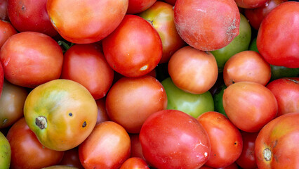 Close-up of freshly harvested tomatoes with natural red and orange tones, grown in a mountain farming area