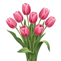 Obraz premium Beautiful Pink Tulip Flower Bouquet Vector – Realistic Spring Floral Illustration for Greeting Cards, Wedding Designs, Mother’s Day Art, Botanical Decor, Romantic Themes, Nature Graphics & Elegant Pri