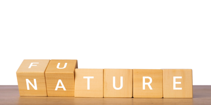 Wooden blocks with fun nature text for outdoor lifestyle concept, isolated on transparent background - Powered by Adobe