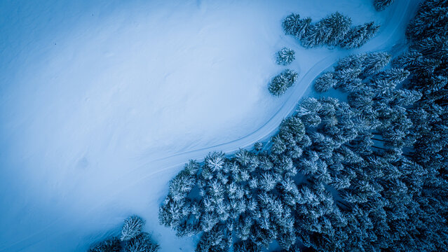 Aerial view of a snow-covered forest in winter mountains