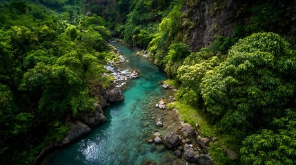 Aerial view of a vibrant river flowing through lush green forest.