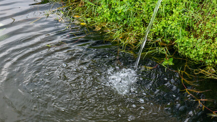 Clear mountain spring water flowing into a small pond used for irrigation in a highland farming area