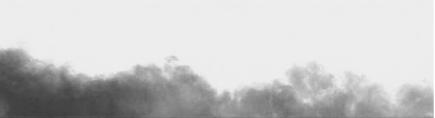 Realistic white cloud or smoke. White fog or smoke on transparent background. PNG image