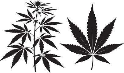 Cannabis branch and big marijuana leaf detailed line vector illustration set