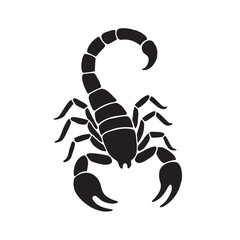 Black silhouette of a scorpion on a white background