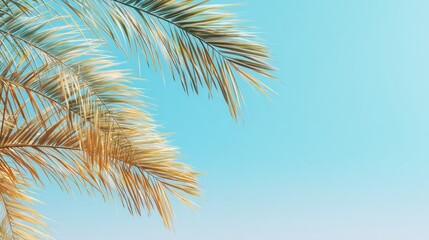 Tropical palm leaf against clear blue sky in bright daylight. Summer vacation travel and exotic nature background for holiday promotion.