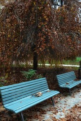 bench in autumn park