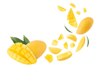 Falling Yellow Mango, Cutout, Full Depth of Field.