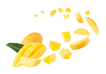 Falling Yellow Mango, Cutout, Full Depth of Field.