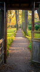 Peaceful garden path surrounded by tall trees and soft autumn sunlight. Wooden gate frames a serene walkway leading into a tranquil natural landscape.
