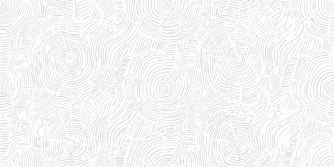 Fototapeta premium Abstract white wood grain texture background with concentric rings pattern