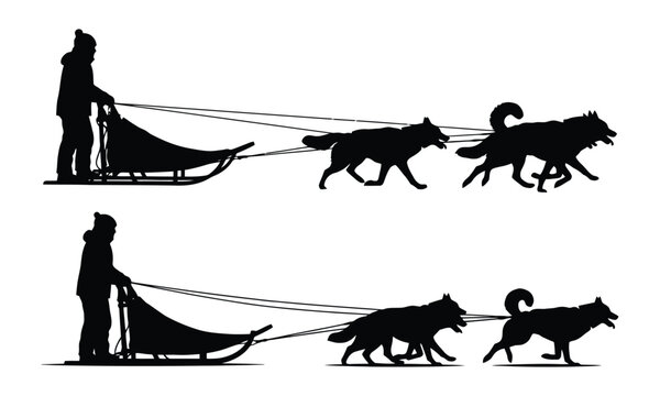 Dog sledding silhouette