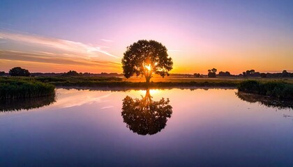 A beautiful landscape scene with a tree silhouetted against a vibrant sunset, reflected in a calm body of water.