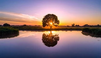 Tableau sur plexiglas Réflexion A beautiful landscape scene with a tree silhouetted against a vibrant sunset, reflected in a calm body of water.  © Dinda