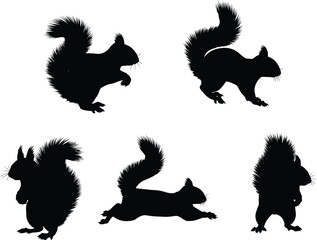 Naklejka premium Playful squirrel silhouettes showcase wildlife charm, perfect for nature themed designs, educational resources, and children's projects with a whimsical touch