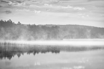 Mystical morning mist over a mirror smooth lake in Sweden and forest silhouette.