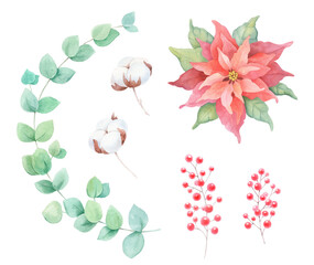 A delicate watercolor winter botanical clipart set featuring a hand-painted poinsettia flower, eucalyptus branches, cotton stems, and red berries.