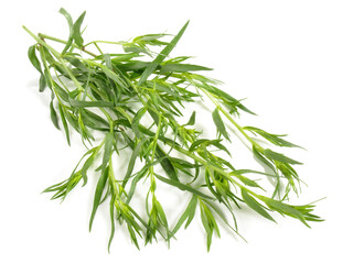 Vegetables - Fresh Tarragon on white Background