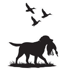 Duck Hunting Dog Retrieving Ducks Silhouette Keywords: dog, retriever, duck, hunting, bird