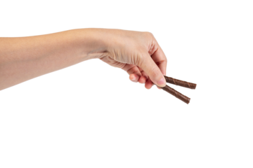 Chocolate bar in hand on transparent background