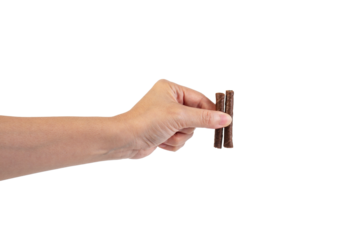 Chocolate bar in hand on transparent background