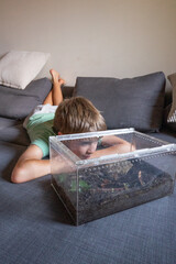 Boy lying on sofa observing insect in terrarium