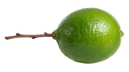 A single lime with a stem attached to it is displayed on a plain black background in this image