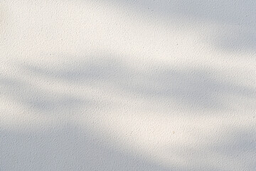 Obraz premium leaves tree branch plant shade sunlight on white wall background