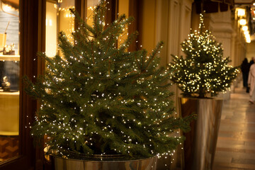 Christmas shopping. Decorated Christmas trees with warm white lights in large planters. Scene is set in festive urban environment, showcasing holiday spirit.