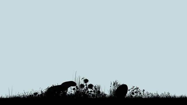 Silhouette bunny hops quickly chasing a rolling Easter egg in a peaceful garden under a clear blue sky. Smooth looping animation with lively spring energy and festive Easter charm.