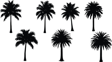 Obraz premium Collection of seven black silhouette palm tree icons with different shapes