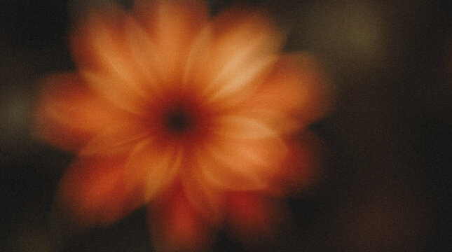 Blurred close-up of vibrant orange flower petals creating an abstract visual effect, showcasing the beauty of nature in a soft and dreamy atmosphere