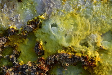 Dallol Geothermiefeld in der Danakilwüste - Äthiopien
