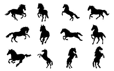 Rearing Up Black Mustang Horse Black Horse Silhouettes