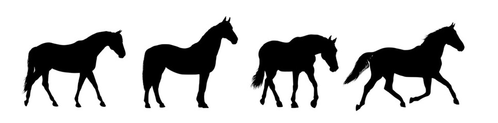 set silhouette of a running horse, side view - vector illustration