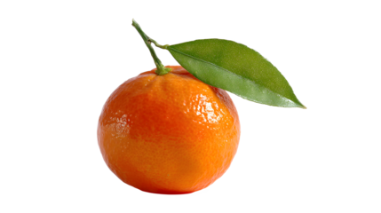 Isolated tangerine with a single green leaf attached to the stem on a black background close up view