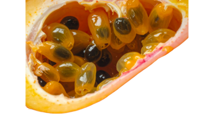  Juicy Watermelon Triangle Slice Transparent Background Png