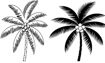 Vector illustration of a tropical palm tree with coconuts, presented in both detailed outline sketch and solid black silhouette styles, representing beach, travel, vacation, and summer concepts