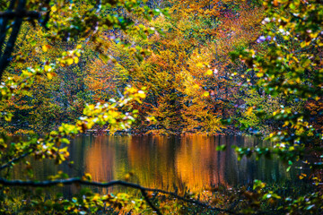 Autumn colors. The magic of the woods of the Julian Prealps and the small village of Sella Carnizza