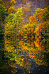 Autumn colors. The magic of the woods of the Julian Prealps and the small village of Sella Carnizza