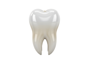 A detailed anatomical render of a healthy human molar tooth isolated on a stark black background