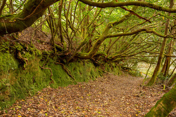 Bidegorri route in As Pontes de Garcia Rodriguez, A Coruña: a natural area for mountain biking, hiking, or spending an unforgettable day with the family near a unique artificial lake.