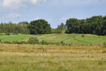 An August rural landscape in Russia