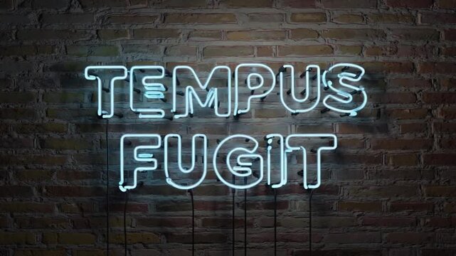 Neon sign of "tempus fugit".