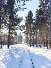 Winter landscape scenery with country road through the snow-covered fields, rural area.