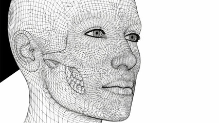 Wireframe Human Head - A Detailed Digital Rendering of Facial Structure.