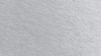 Obraz premium 銀色の紙のテクスチャ素材