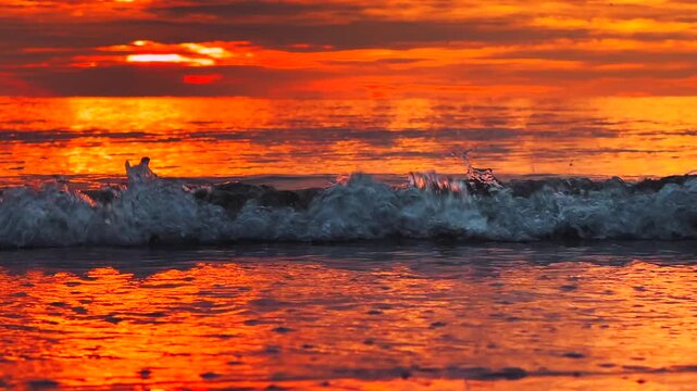 Close up silhouette of feet walking through shallow waves during vibrant sunset on the topical beach