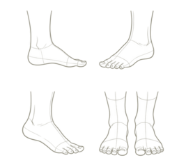 Four Anatomical Studies of Feet in Sketch Style Featuring Fine Lines and Subtle Shading Highlighting Foot Structure